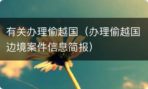 有关办理偷越国（办理偷越国边境案件信息简报）