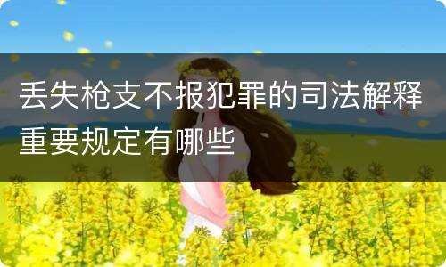 丢失枪支不报犯罪的司法解释重要规定有哪些