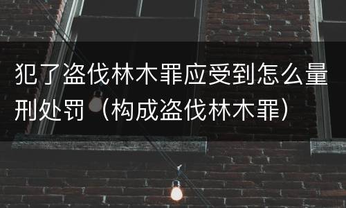 犯了盗伐林木罪应受到怎么量刑处罚（构成盗伐林木罪）