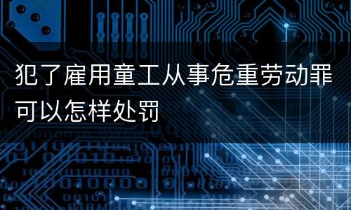 犯了雇用童工从事危重劳动罪可以怎样处罚