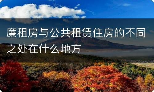 廉租房与公共租赁住房的不同之处在什么地方