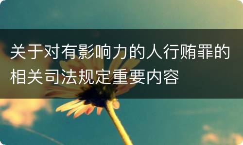 关于对有影响力的人行贿罪的相关司法规定重要内容