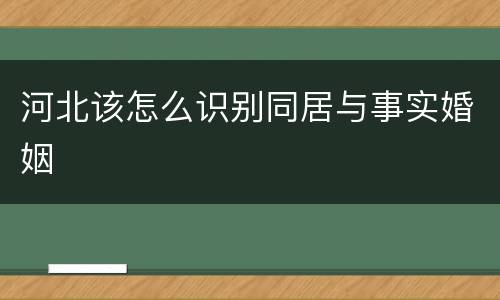 河北该怎么识别同居与事实婚姻