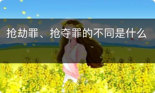 抢劫罪、抢夺罪的不同是什么