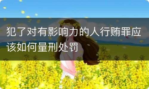 犯了对有影响力的人行贿罪应该如何量刑处罚