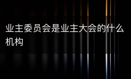 业主委员会是业主大会的什么机构