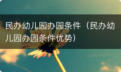 民办幼儿园办园条件（民办幼儿园办园条件优势）