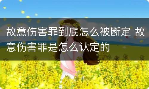 故意伤害罪到底怎么被断定 故意伤害罪是怎么认定的