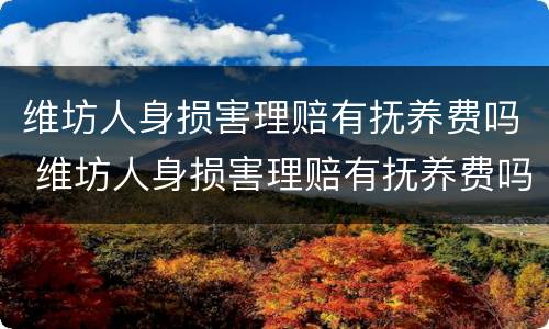 维坊人身损害理赔有抚养费吗 维坊人身损害理赔有抚养费吗