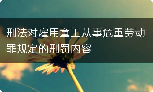 刑法对雇用童工从事危重劳动罪规定的刑罚内容