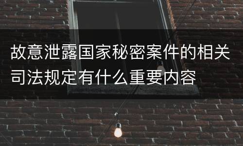 故意泄露国家秘密案件的相关司法规定有什么重要内容