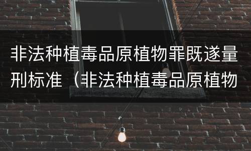 非法种植毒品原植物罪既遂量刑标准（非法种植毒品原植物罪既遂量刑标准是多少）