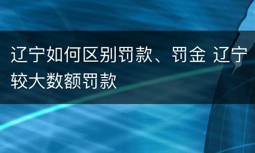 辽宁如何区别罚款、罚金 辽宁较大数额罚款