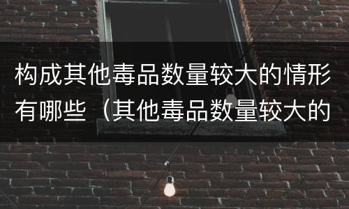 构成其他毒品数量较大的情形有哪些（其他毒品数量较大的标准）