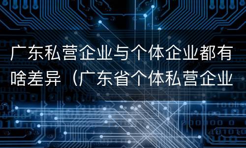 广东私营企业与个体企业都有啥差异（广东省个体私营企业）