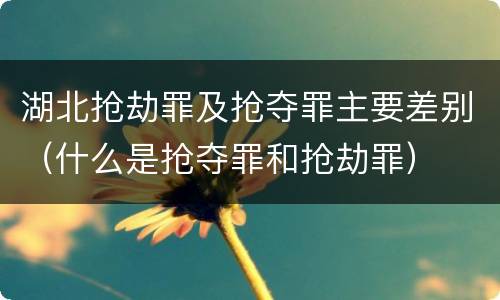 湖北抢劫罪及抢夺罪主要差别（什么是抢夺罪和抢劫罪）