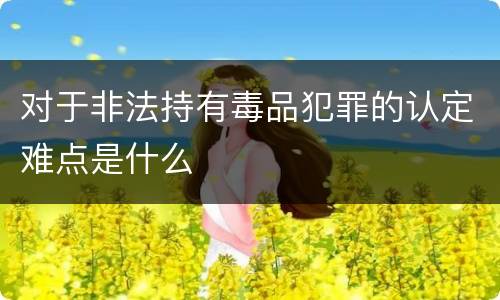 对于非法持有毒品犯罪的认定难点是什么