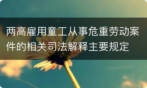 两高雇用童工从事危重劳动案件的相关司法解释主要规定