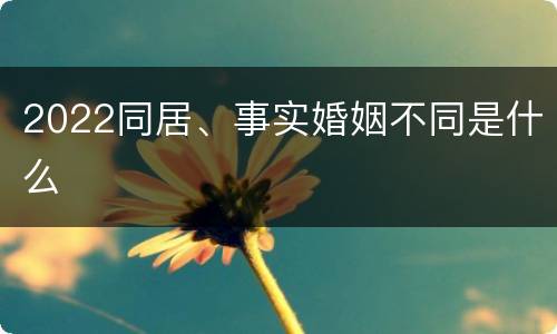 2022同居、事实婚姻不同是什么