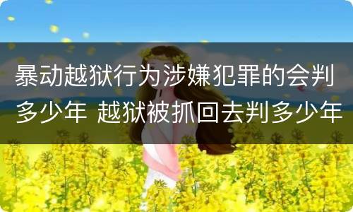 暴动越狱行为涉嫌犯罪的会判多少年 越狱被抓回去判多少年