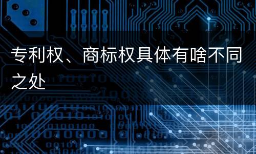 专利权、商标权具体有啥不同之处