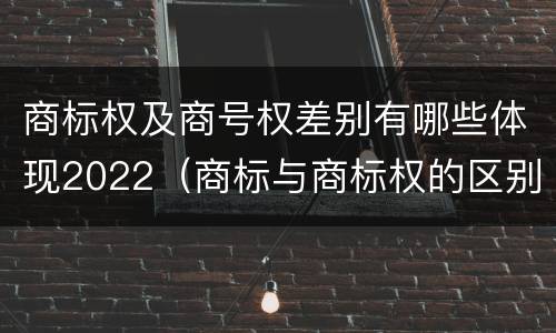 商标权及商号权差别有哪些体现2022（商标与商标权的区别）