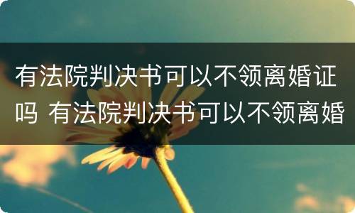 有法院判决书可以不领离婚证吗 有法院判决书可以不领离婚证吗