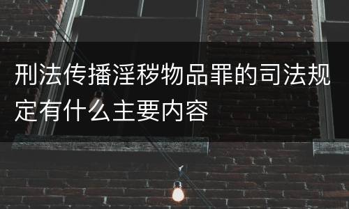 刑法传播淫秽物品罪的司法规定有什么主要内容