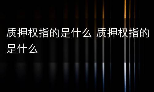 质押权指的是什么 质押权指的是什么