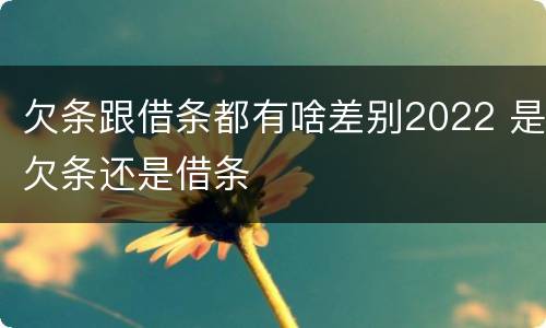 欠条跟借条都有啥差别2022 是欠条还是借条