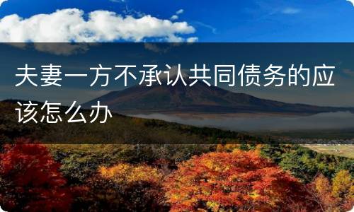 夫妻一方不承认共同债务的应该怎么办