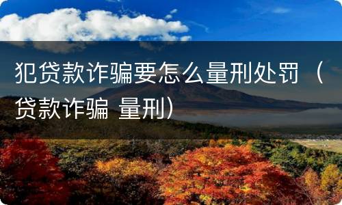 犯贷款诈骗要怎么量刑处罚（贷款诈骗 量刑）