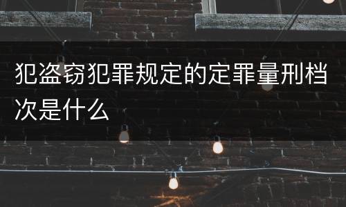 犯盗窃犯罪规定的定罪量刑档次是什么