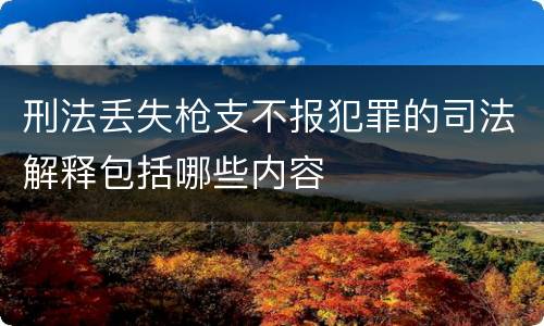 刑法丢失枪支不报犯罪的司法解释包括哪些内容