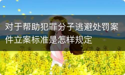 对于帮助犯罪分子逃避处罚案件立案标准是怎样规定