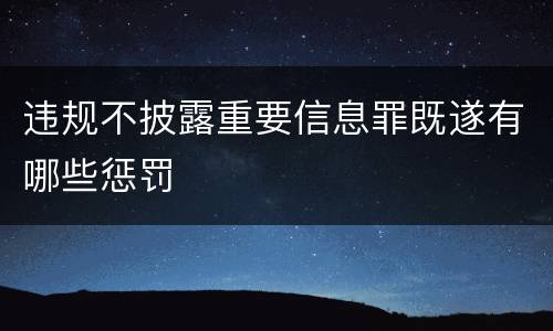 违规不披露重要信息罪既遂有哪些惩罚