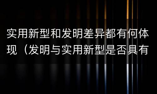 实用新型和发明差异都有何体现（发明与实用新型是否具有实用性）