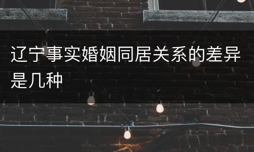 辽宁事实婚姻同居关系的差异是几种