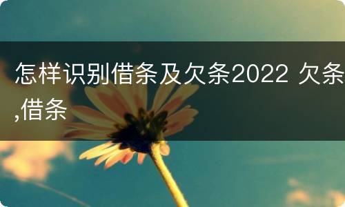 怎样识别借条及欠条2022 欠条,借条