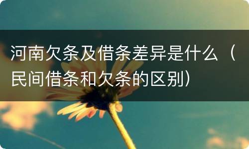 河南欠条及借条差异是什么（民间借条和欠条的区别）