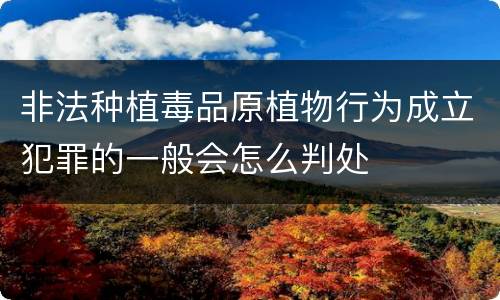 非法种植毒品原植物行为成立犯罪的一般会怎么判处