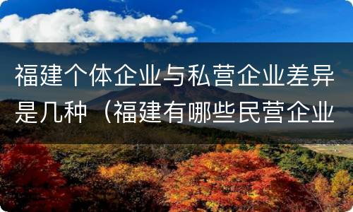 福建个体企业与私营企业差异是几种（福建有哪些民营企业）