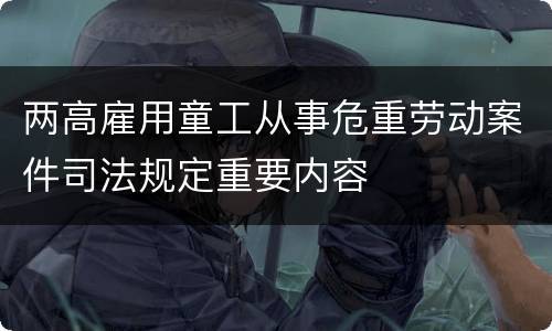 两高雇用童工从事危重劳动案件司法规定重要内容