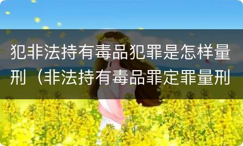 犯非法持有毒品犯罪是怎样量刑（非法持有毒品罪定罪量刑）