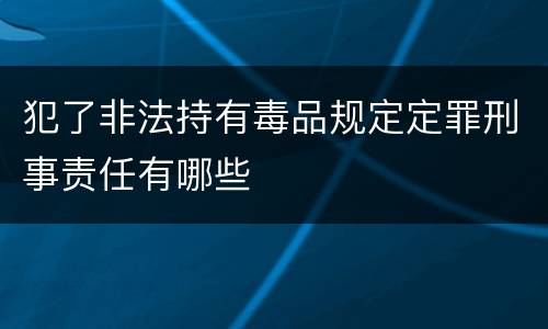 犯了非法持有毒品规定定罪刑事责任有哪些