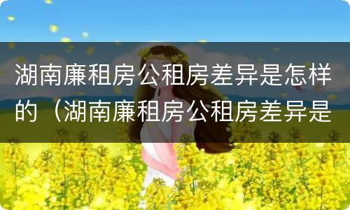 湖南廉租房公租房差异是怎样的（湖南廉租房公租房差异是怎样的呢）