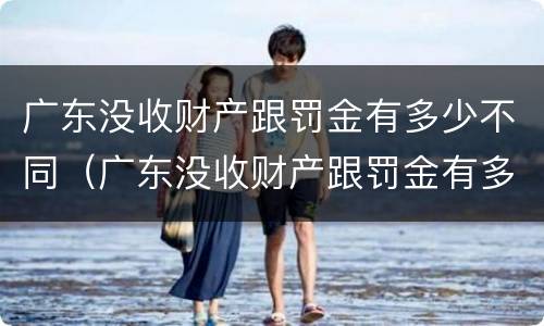 广东没收财产跟罚金有多少不同（广东没收财产跟罚金有多少不同之处）