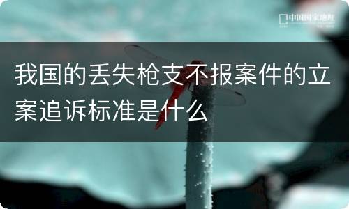 我国的丢失枪支不报案件的立案追诉标准是什么