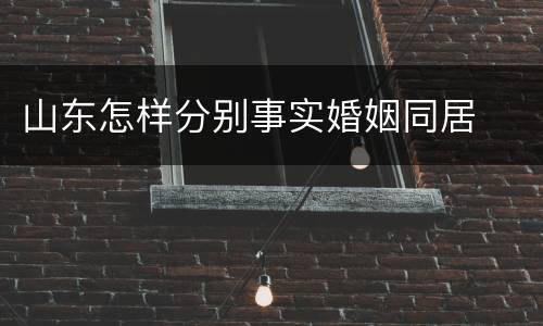 山东怎样分别事实婚姻同居