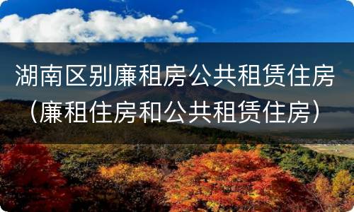 湖南区别廉租房公共租赁住房（廉租住房和公共租赁住房）